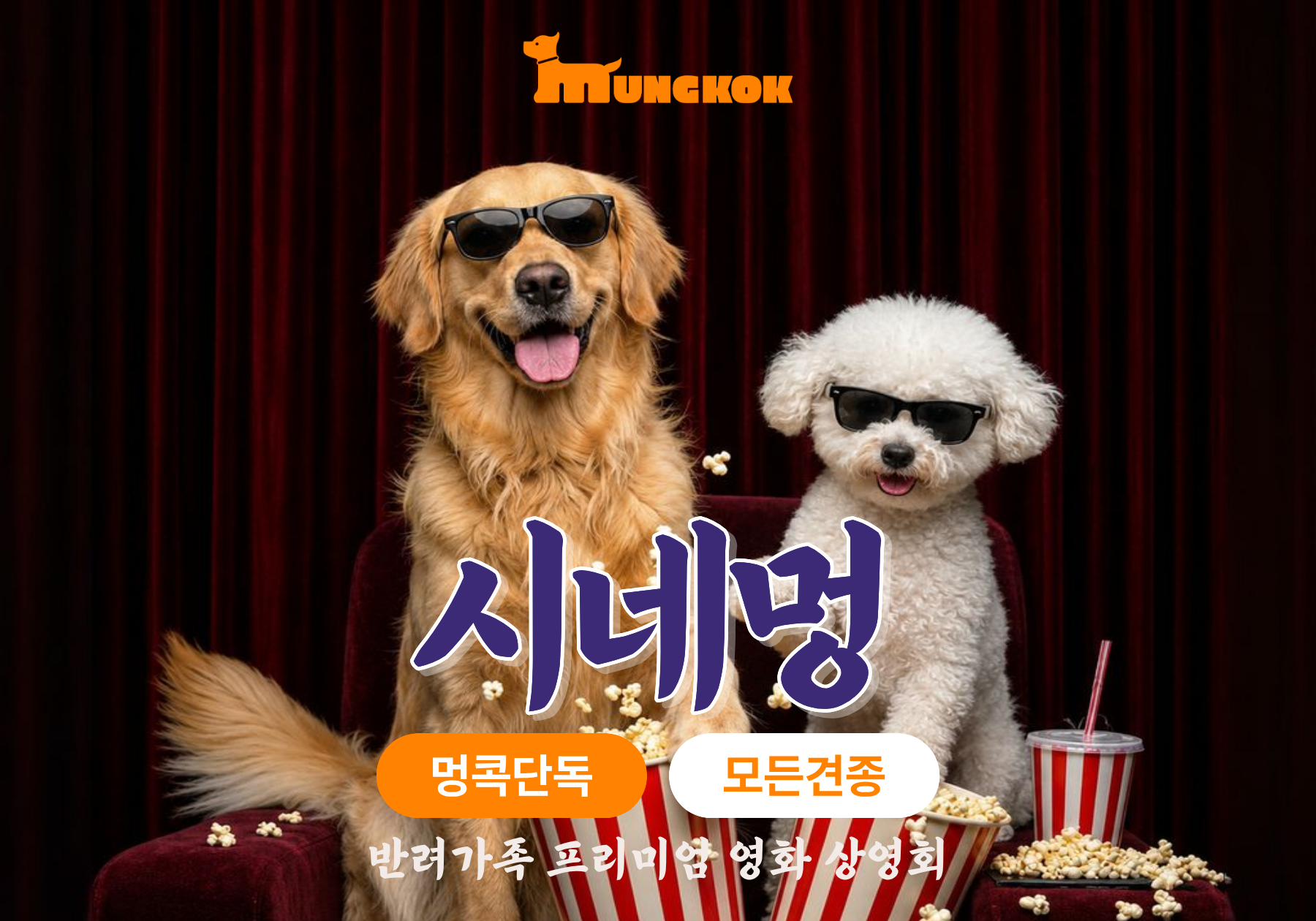 promotion image